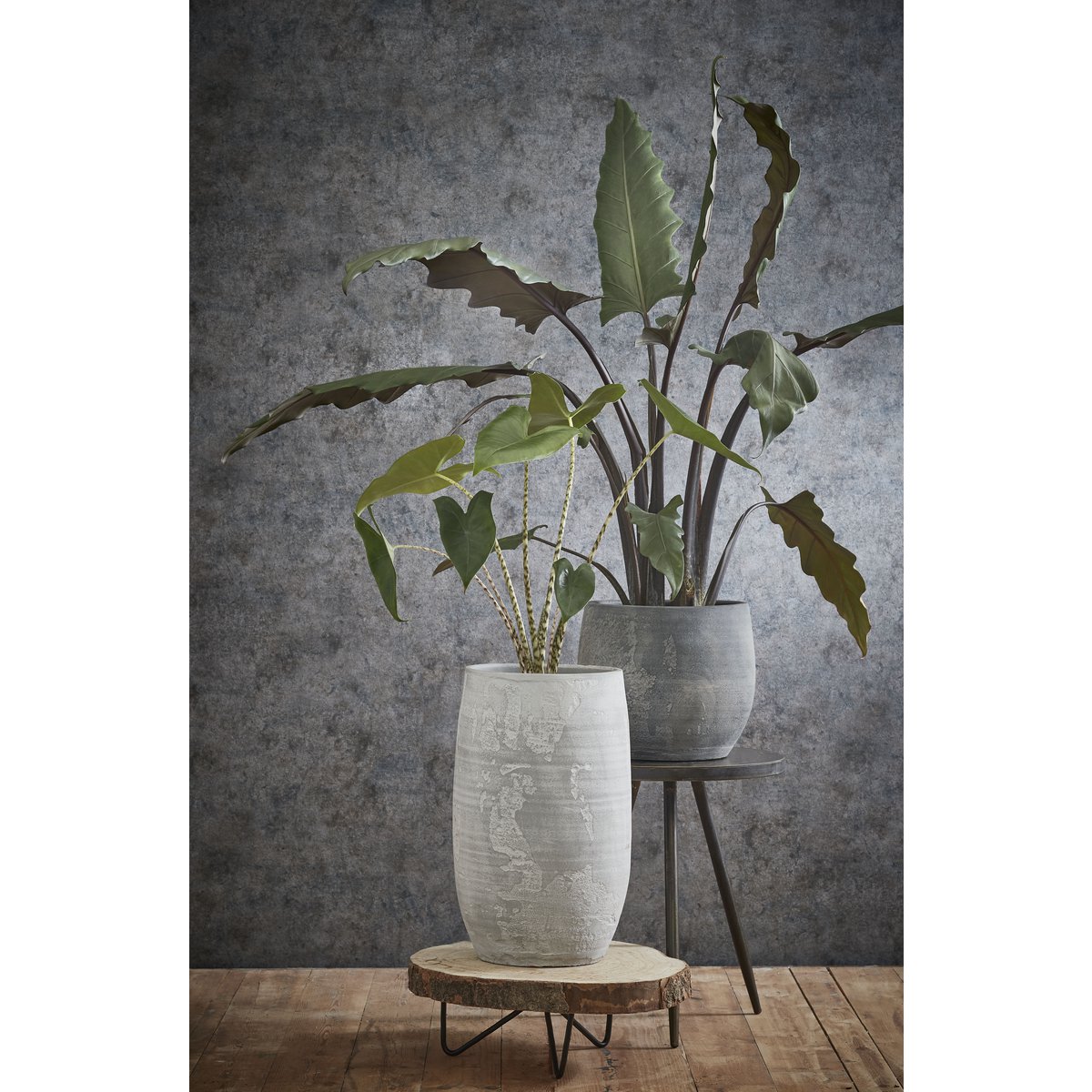 Boomstam Bijzettafel H14 x Ø40 cm Lichtbruin