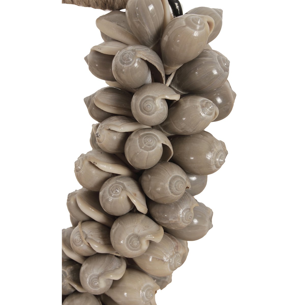 Kleine Schelpenketting op Metalen Standaard