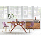 Dining table with iron frame 220x100 cm