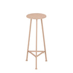 Lichtroze metalen plantentafel in moderne woonkamer