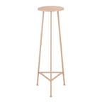 Lichtroze metalen plantentafel met planten in moderne woonkamer