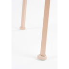 Plantentafel Metaal Lichtroze H120 x Ø35 cm